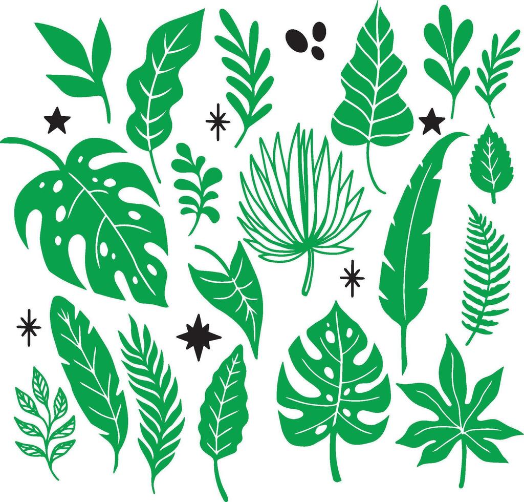 Various green leaves and stars on a white background. vector