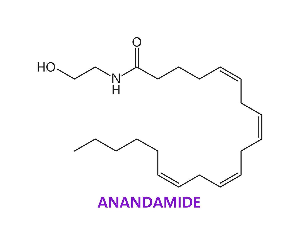 Neurotransmitter Anandamide acid chemical formula vector