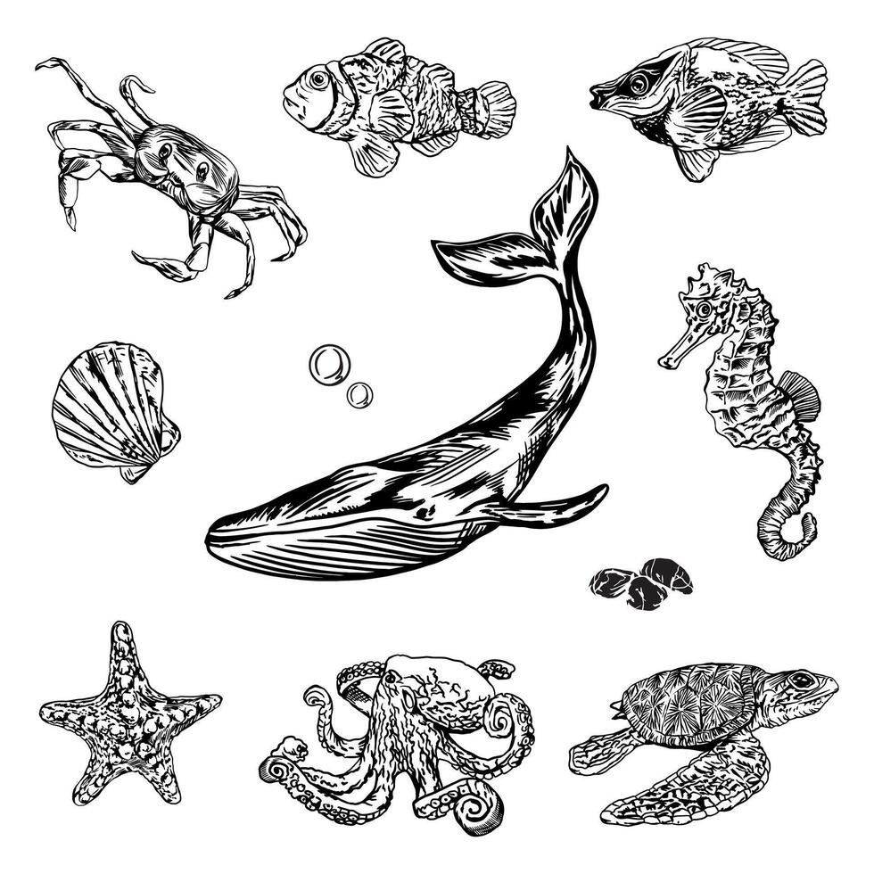 Sea animals, set. Crab, fish, whale, starfish, octopus, turtle, sea horse. Vector illustration. Graphic. Design element for cards, covers, nautical posters, banners, packaging, labels, invitations.