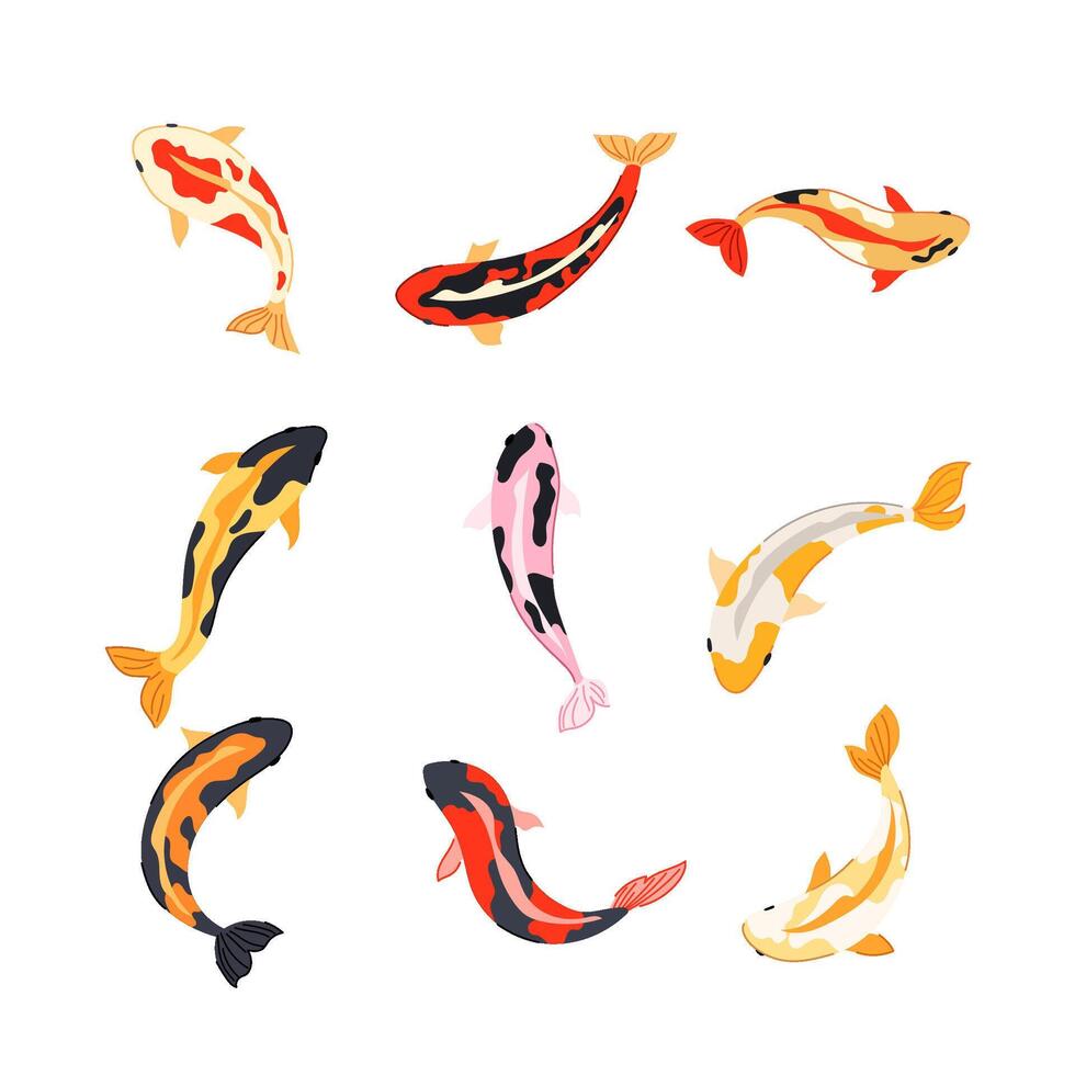 koi fish carp set cartoon vector illustration