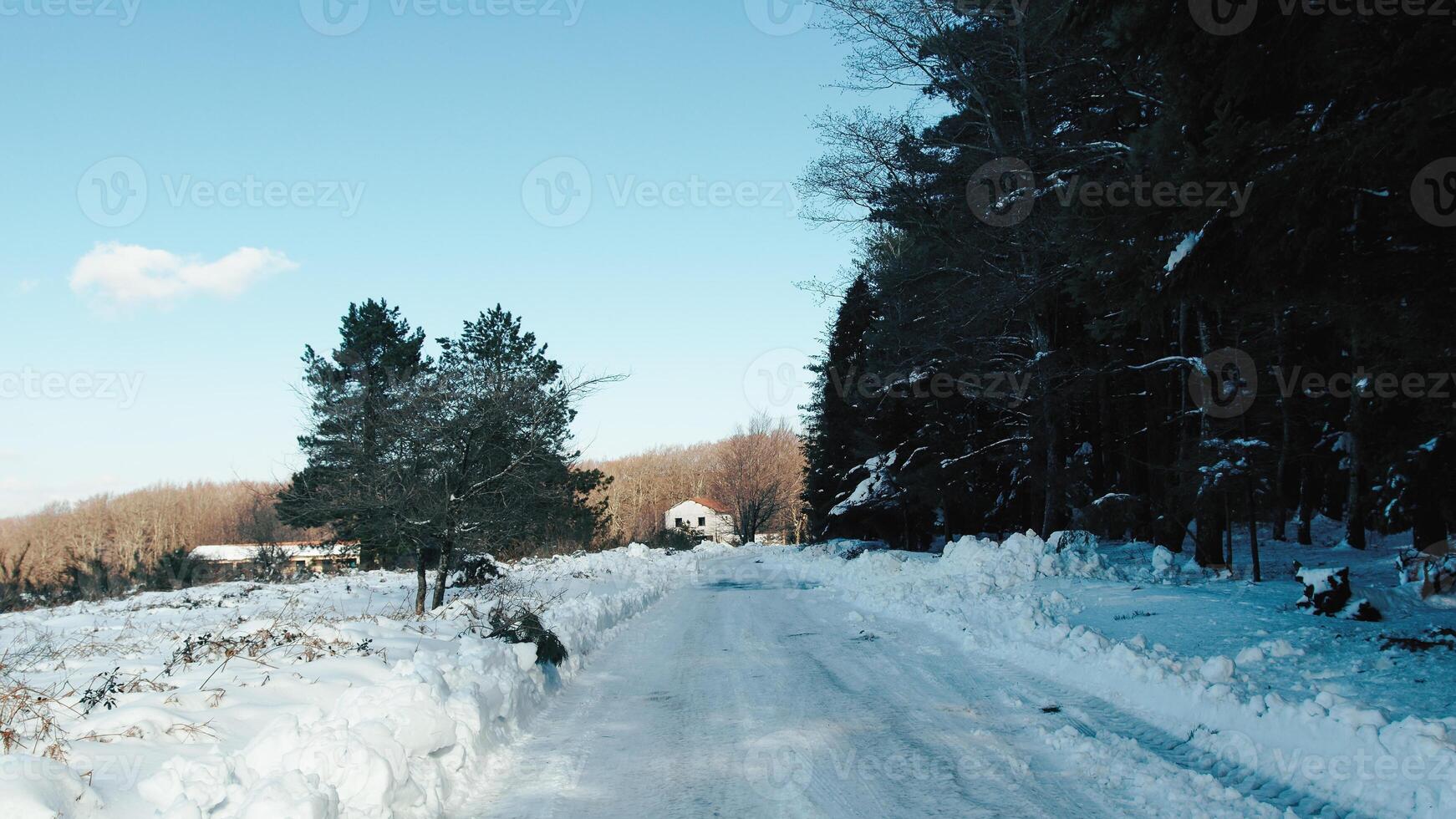 small house surrounded by snow with vehicle traces photo