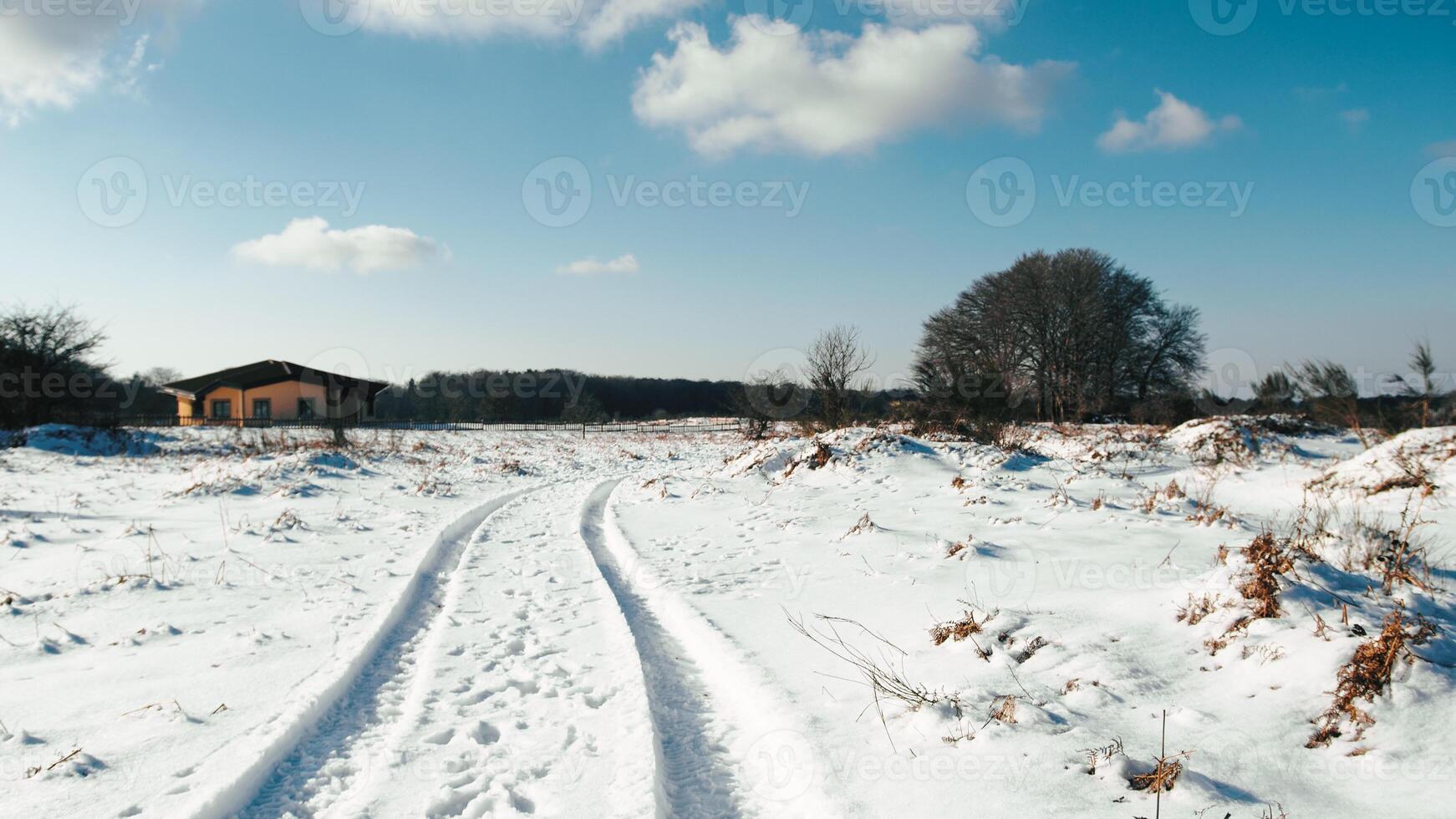 small house surrounded by snow with vehicle traces photo