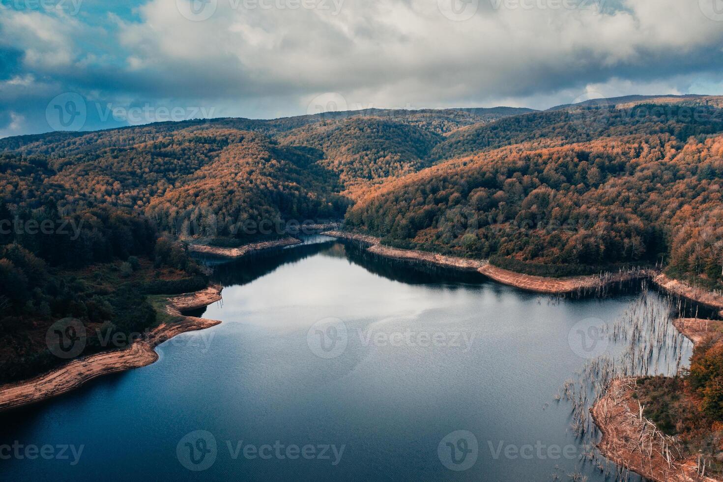 bosque en otoño con arboles cerca un lago en el montañas aéreo ver foto