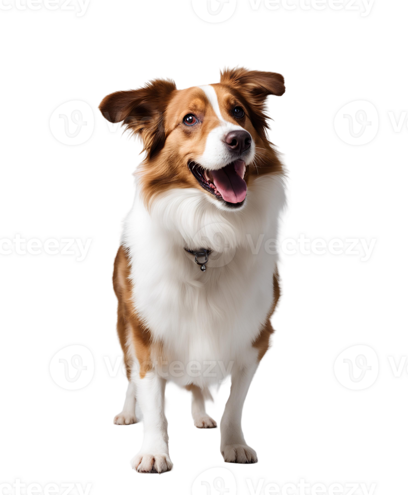 AI generated Happy Dog Strike a Pose png