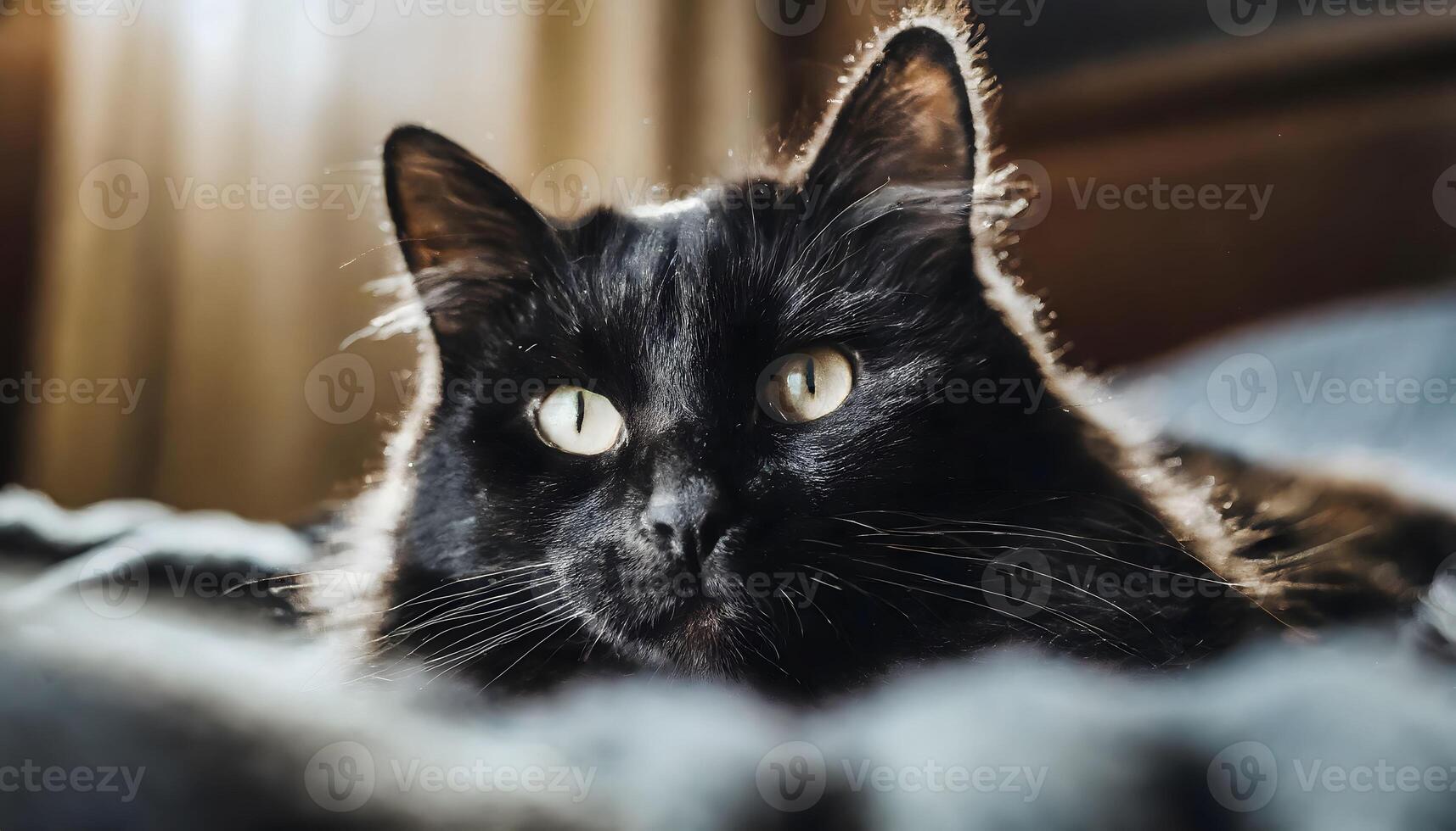 ai generado negro gato cara de cerca descansando en cama a hogar foto