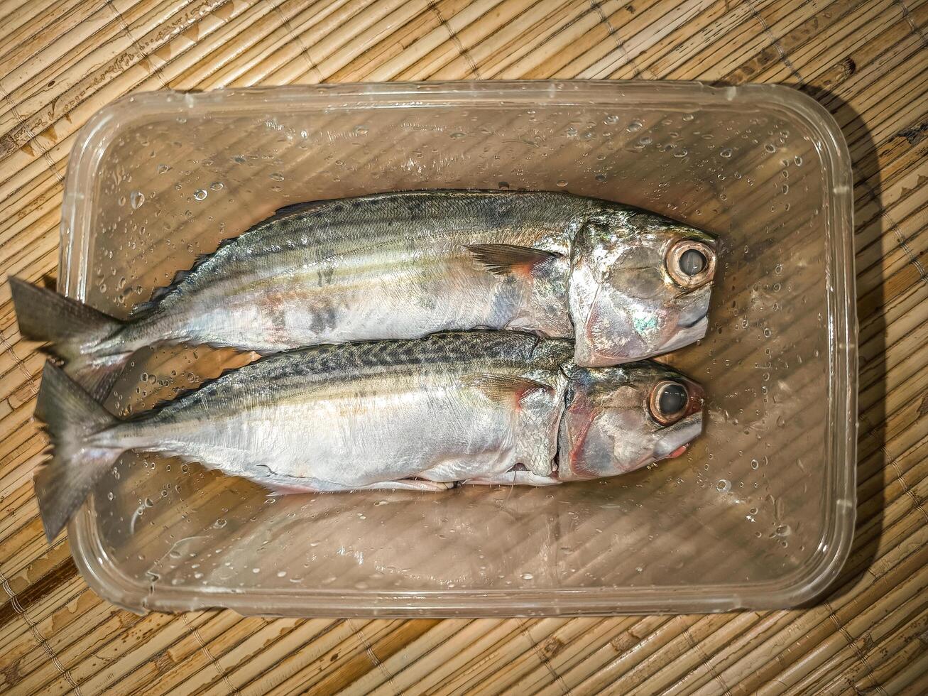 dos crudo caballa pescado antes de Cocinando foto