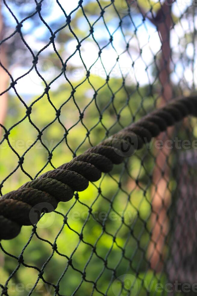 close up photo of protective net, suspension bridge