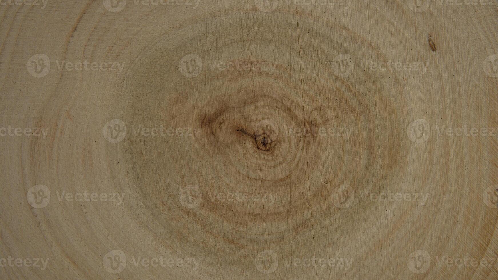 Wallpaper, background, PC screen tree rings photo