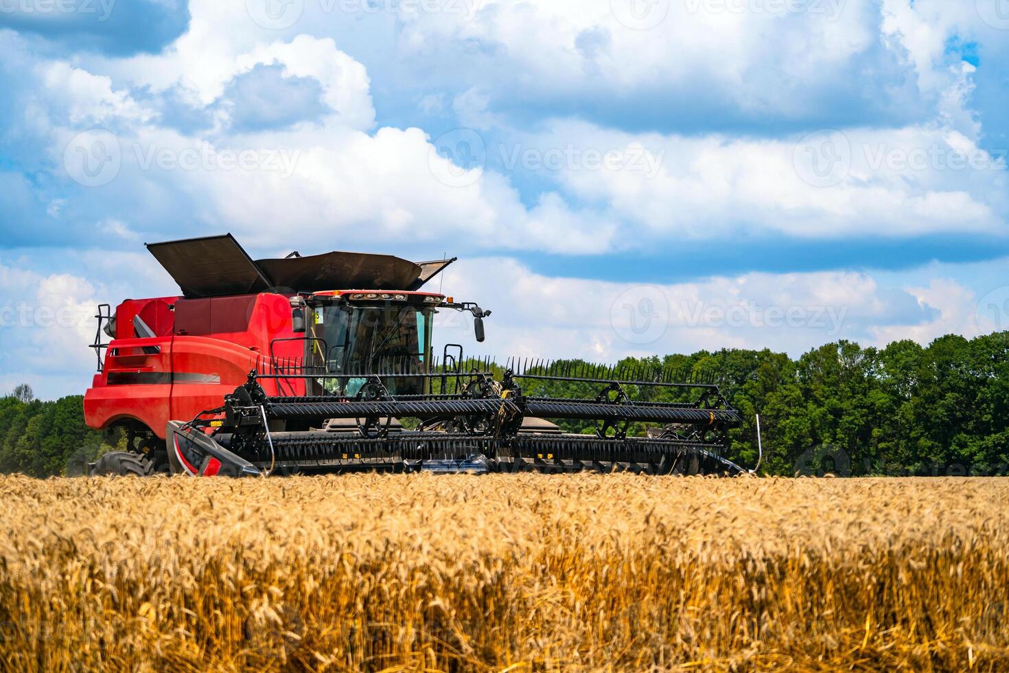 rojo grano cosecha combinar en un soleado día. amarillo campo con grano. agrícola técnica trabajos en campo. de cerca. foto