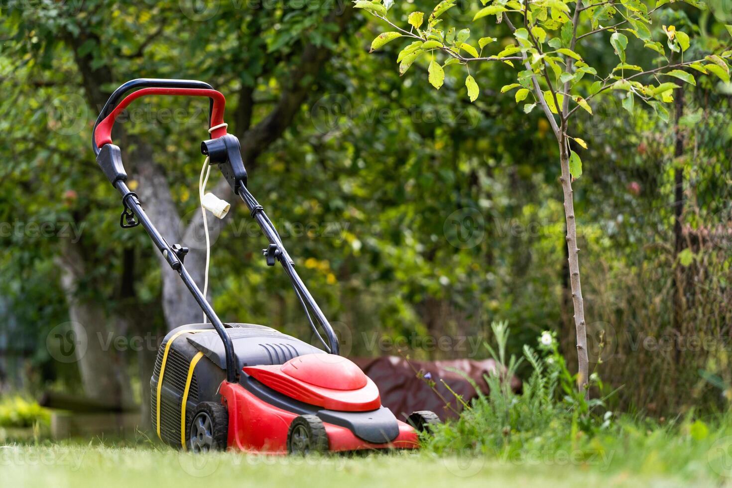 Lawn mower on green grass photo