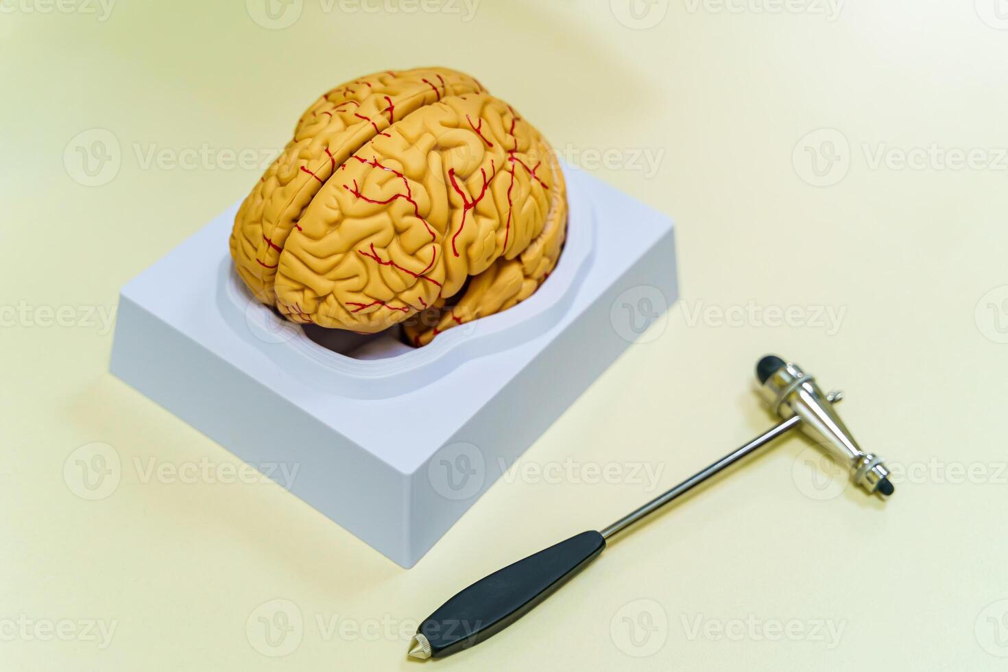 Brain model on the table. Neurosurgery concept. Neurosurgery hummer. photo