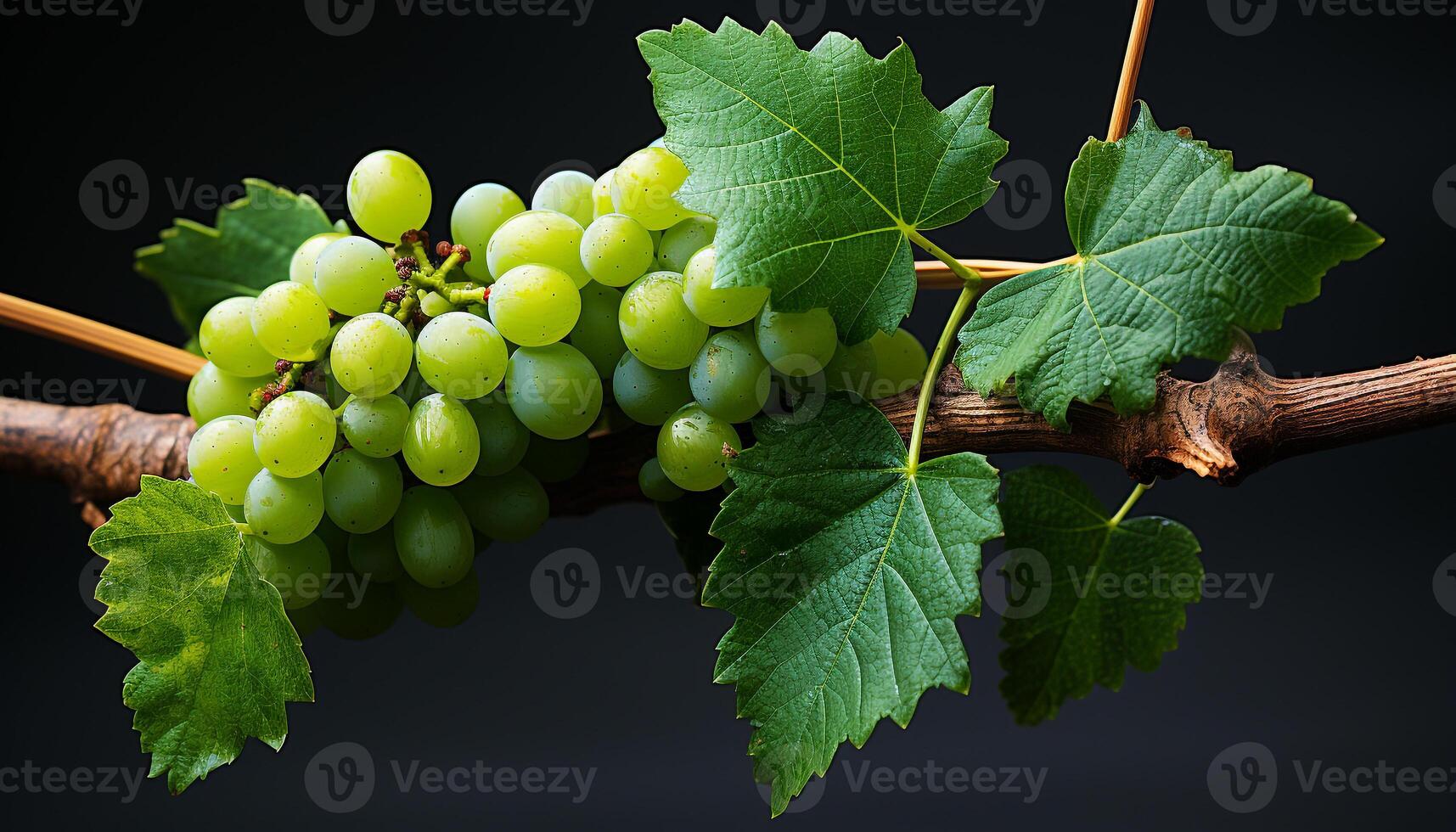 AI generated Freshness and growth in nature vineyard, ripe grape bunch generated by AI photo