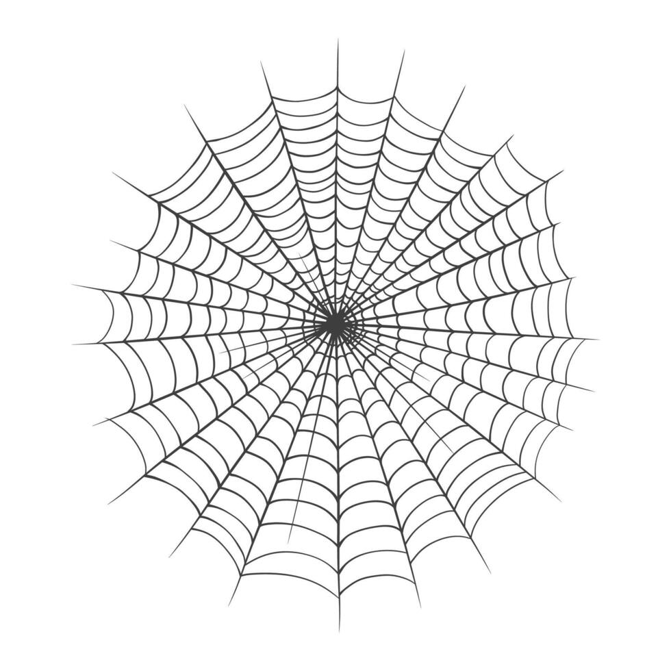 araña web aislado en blanco antecedentes. vector ilustración