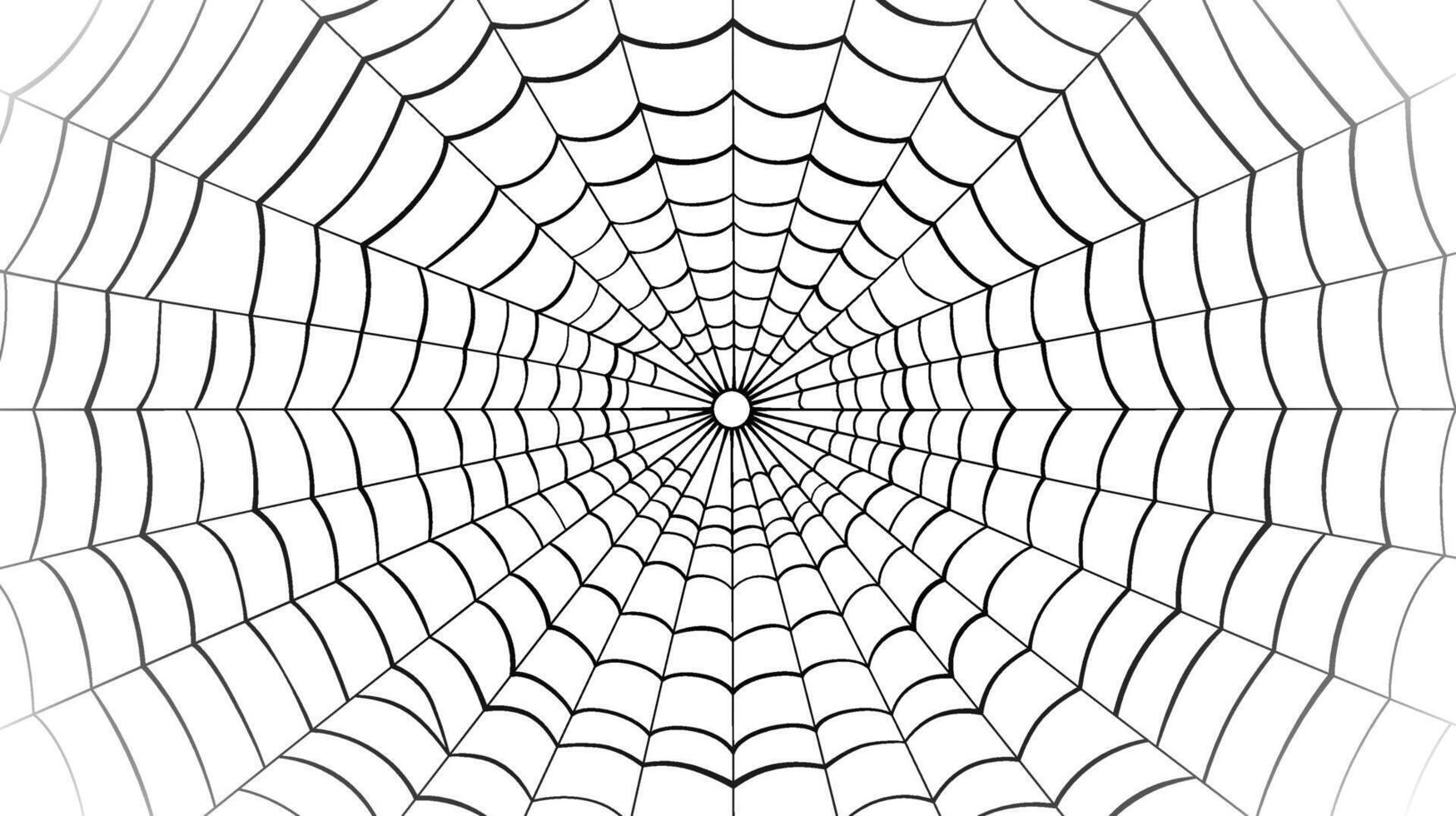 Spider web on white background. Vector illustration. Spider web pattern