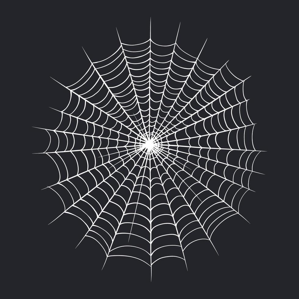 Spider web isolated on dark background. Vector illustration