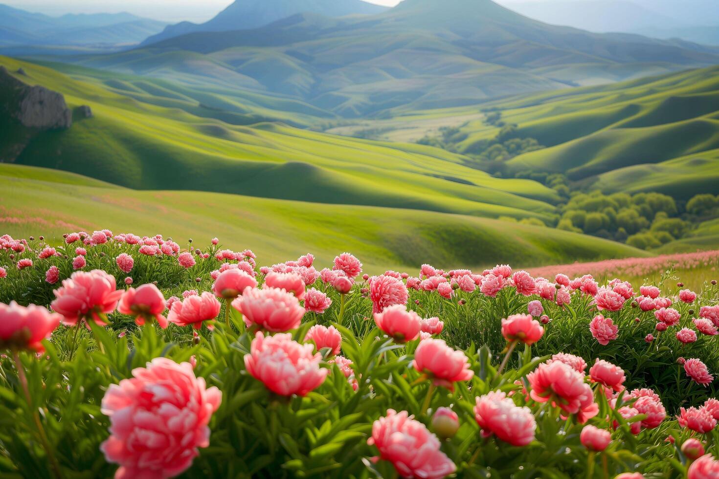 AI generated Peonies and Verdant Hills at Dawn photo