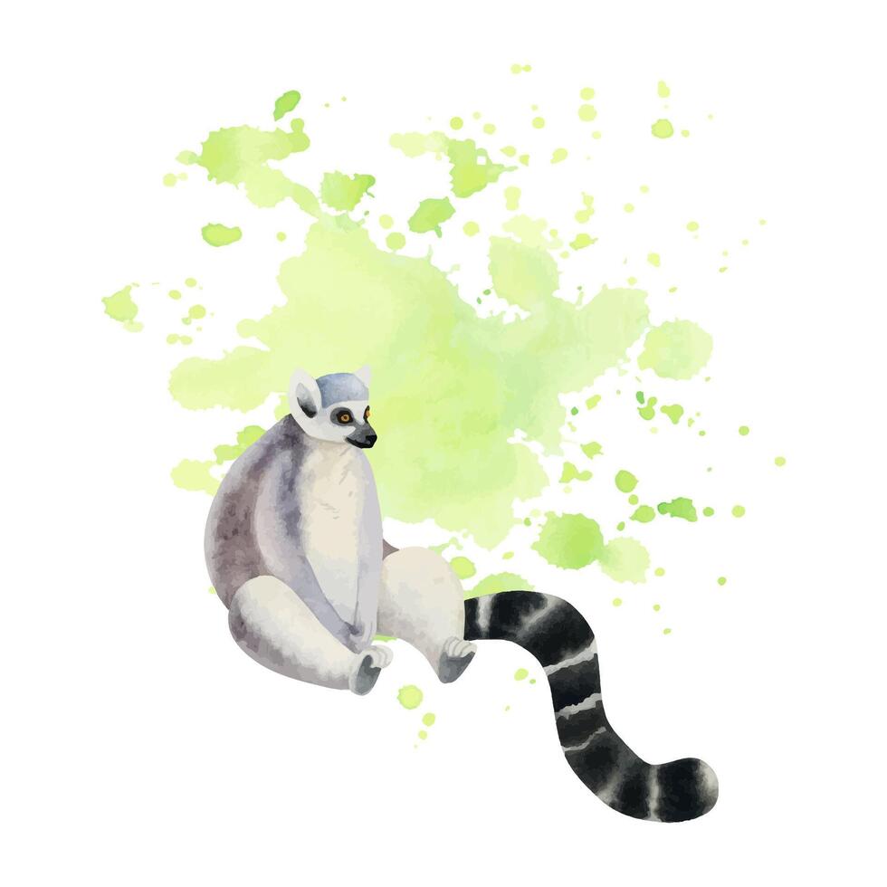Sitting funny desperate ring-tailed lemur with long black and white tail on neon green watercolor splashes vector illustration