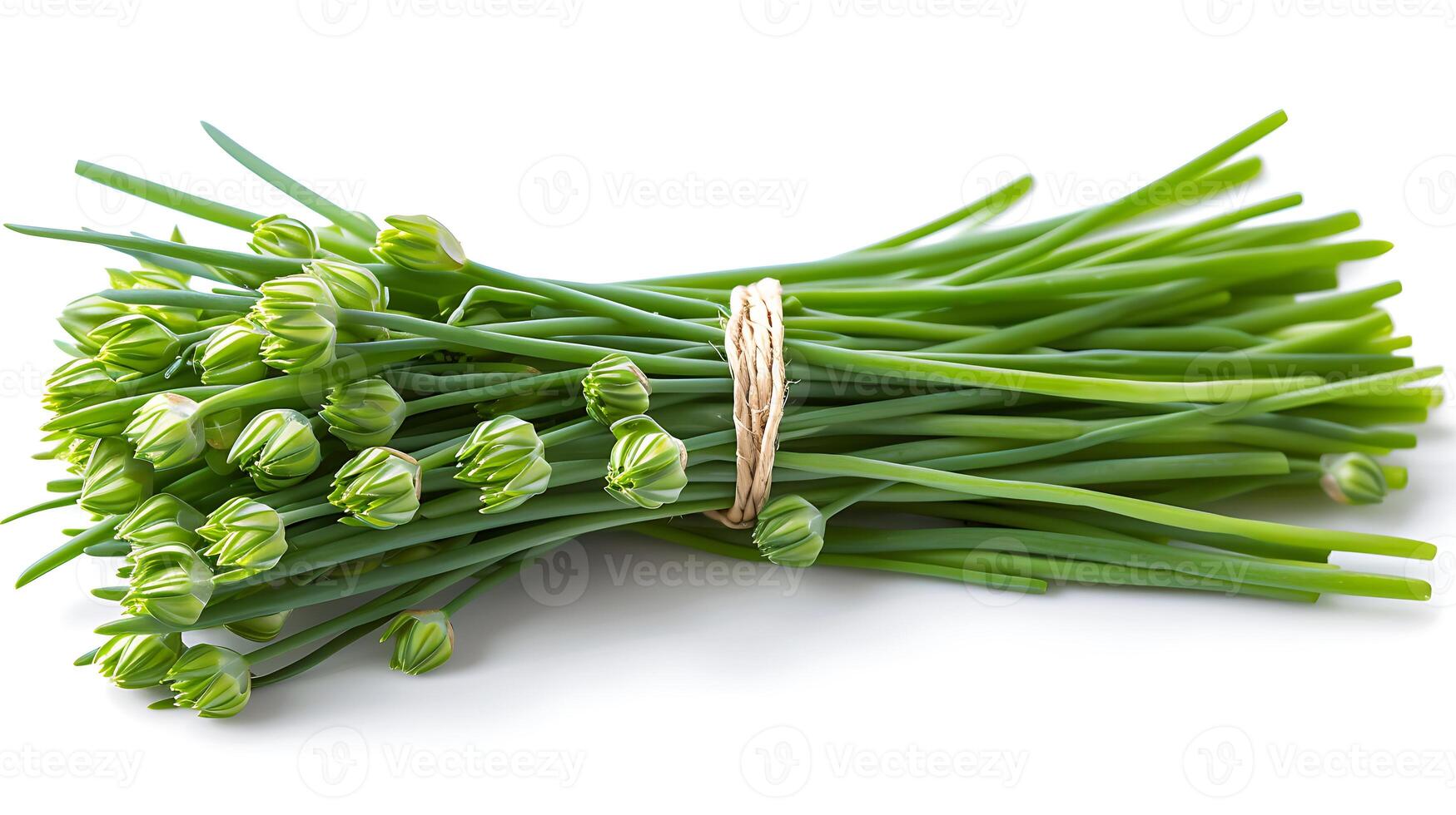 AI generated Chives flower on a white background photo