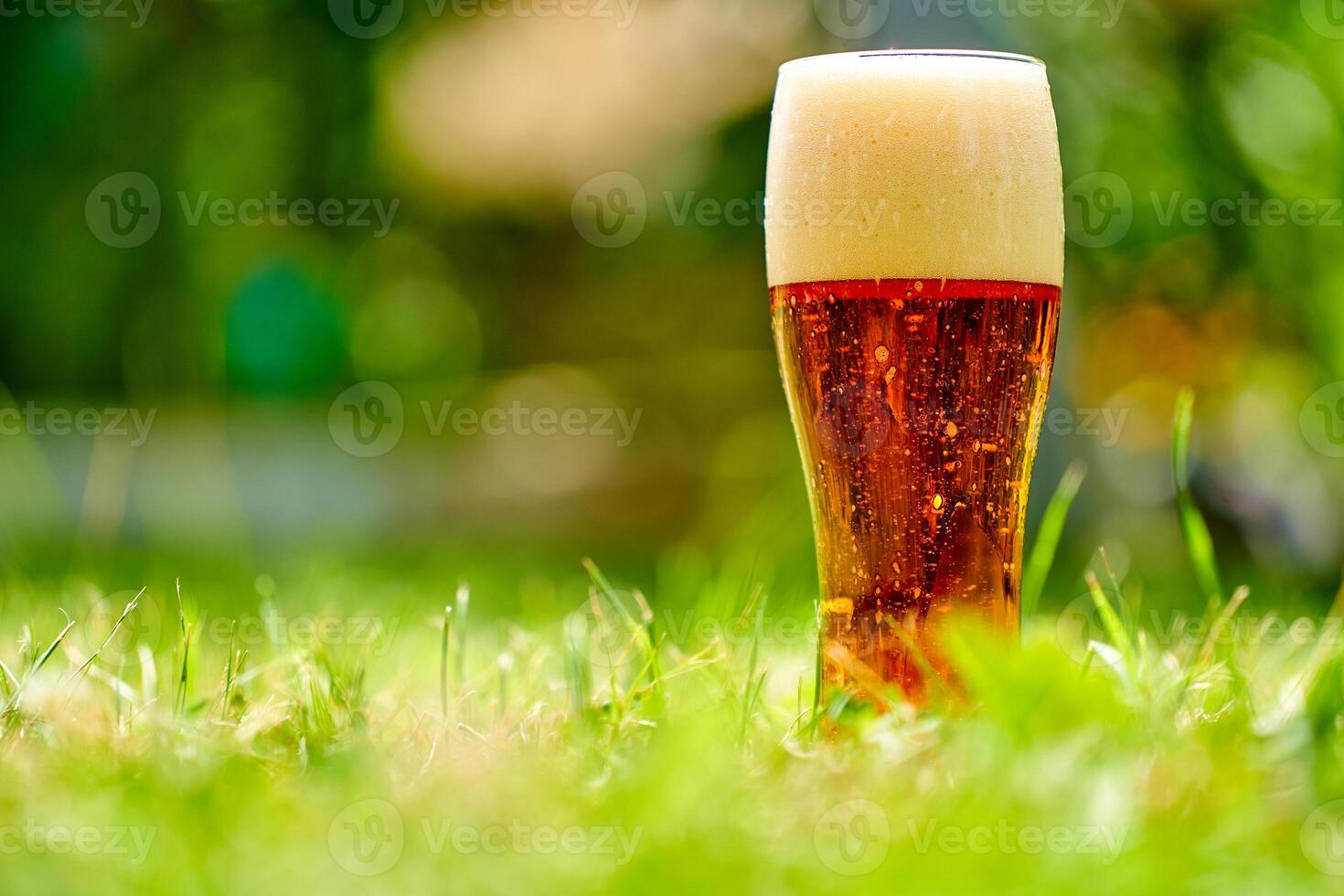 Glass of beer is standing on a grass with blurred city park on background. Beer with foam. Green and natural. Alcohol and non-alcohol concept. photo