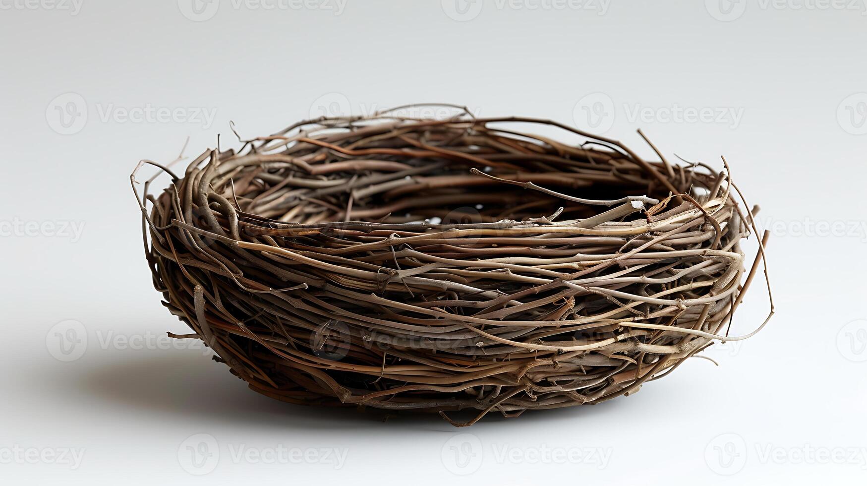 AI generated Birds nest on a white background photo