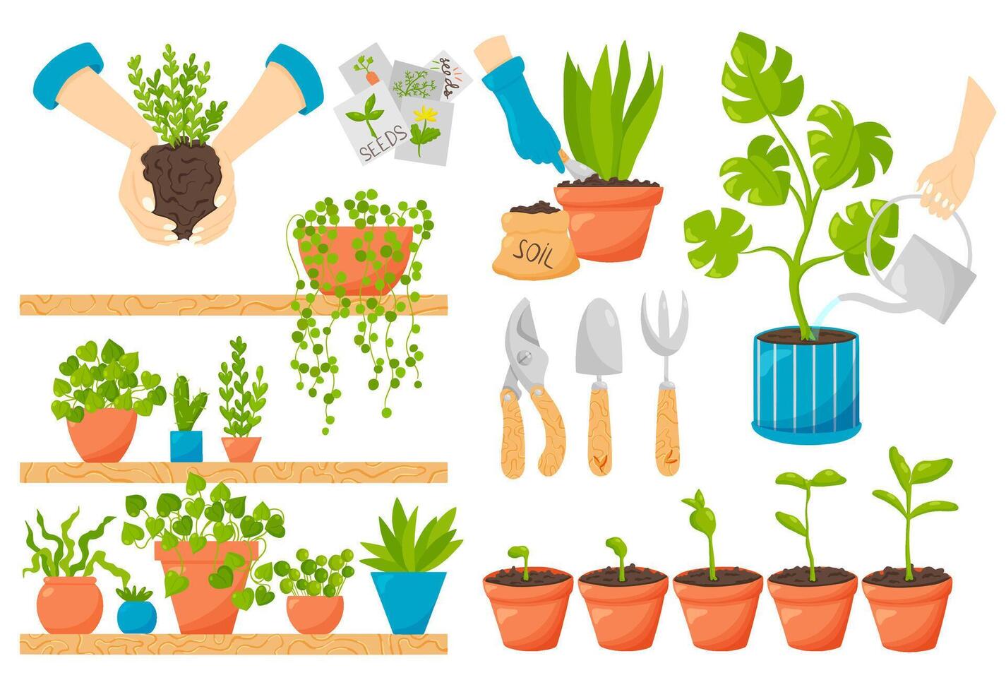 Home gardening vector set of illustrations. Pots with greenery plants seedling