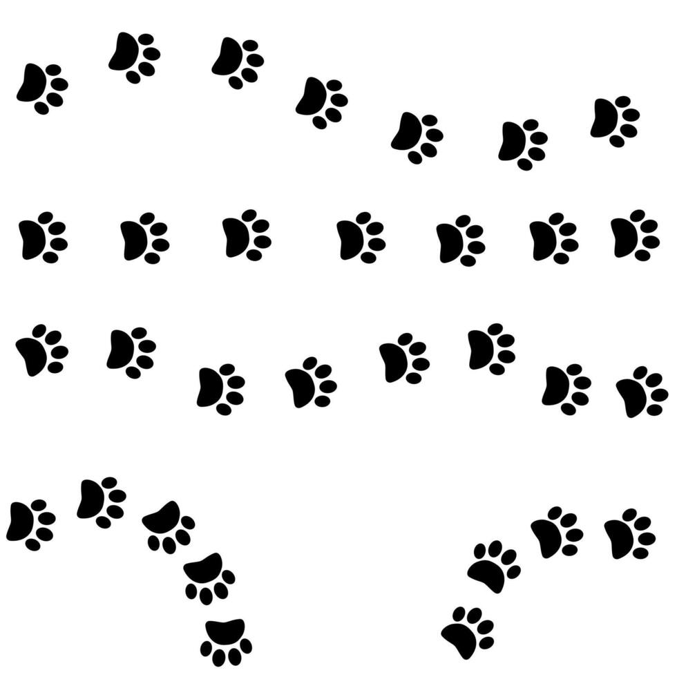 Black footprints paws directions vector illustration. Step, footstep, track direction