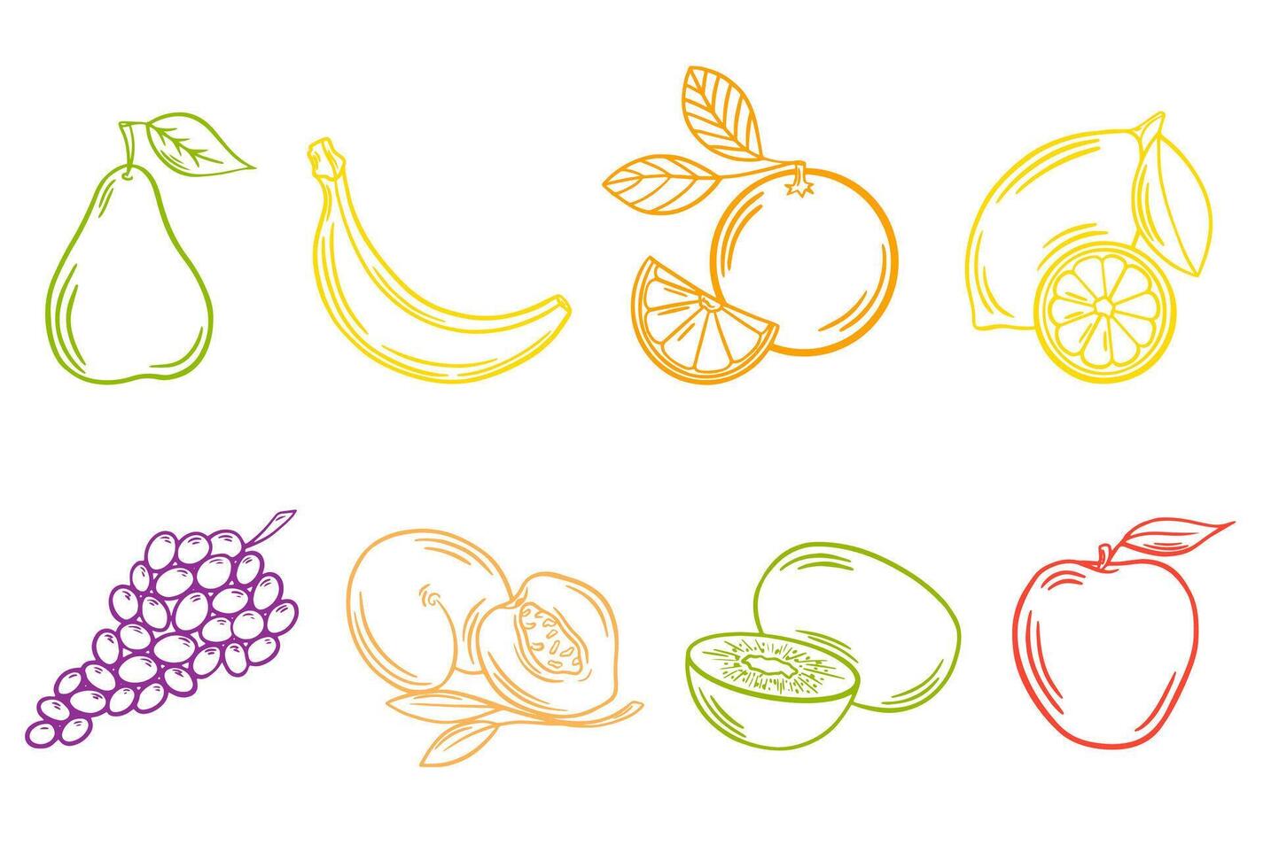 Colorful outline fruit. Set of vector illustrations. Healthy food, vegan, vegetarian, fruit stickers. Line art