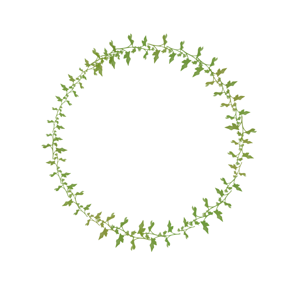 couronne minimaliste floral vert lierre vigne png