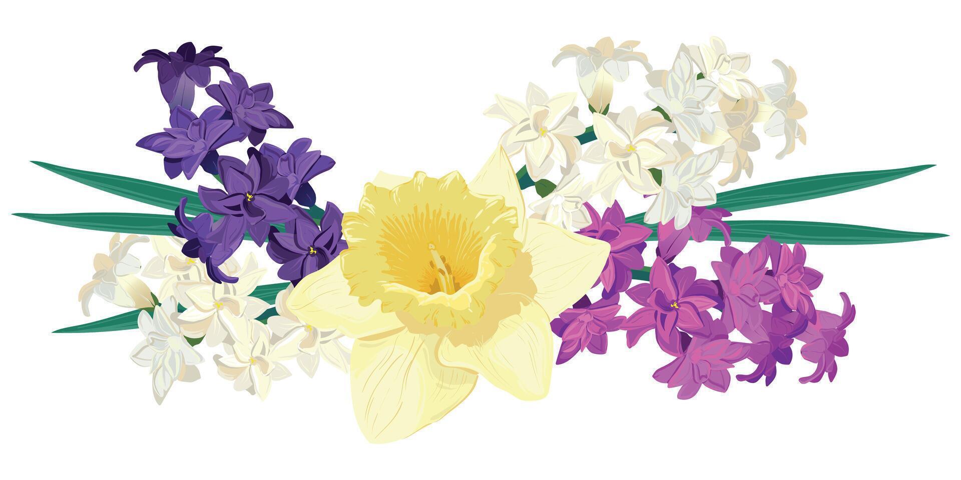 Composition of bright spring flowers. Vector colored hyacinths and yellow daffodils on a white background. Primroses in a cartoon style are suitable for greeting cards for Mother's Day and Women's Day