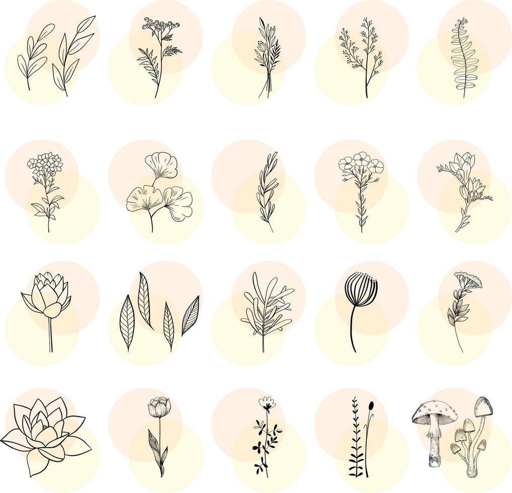 Leaf and Flowers with White Background vector