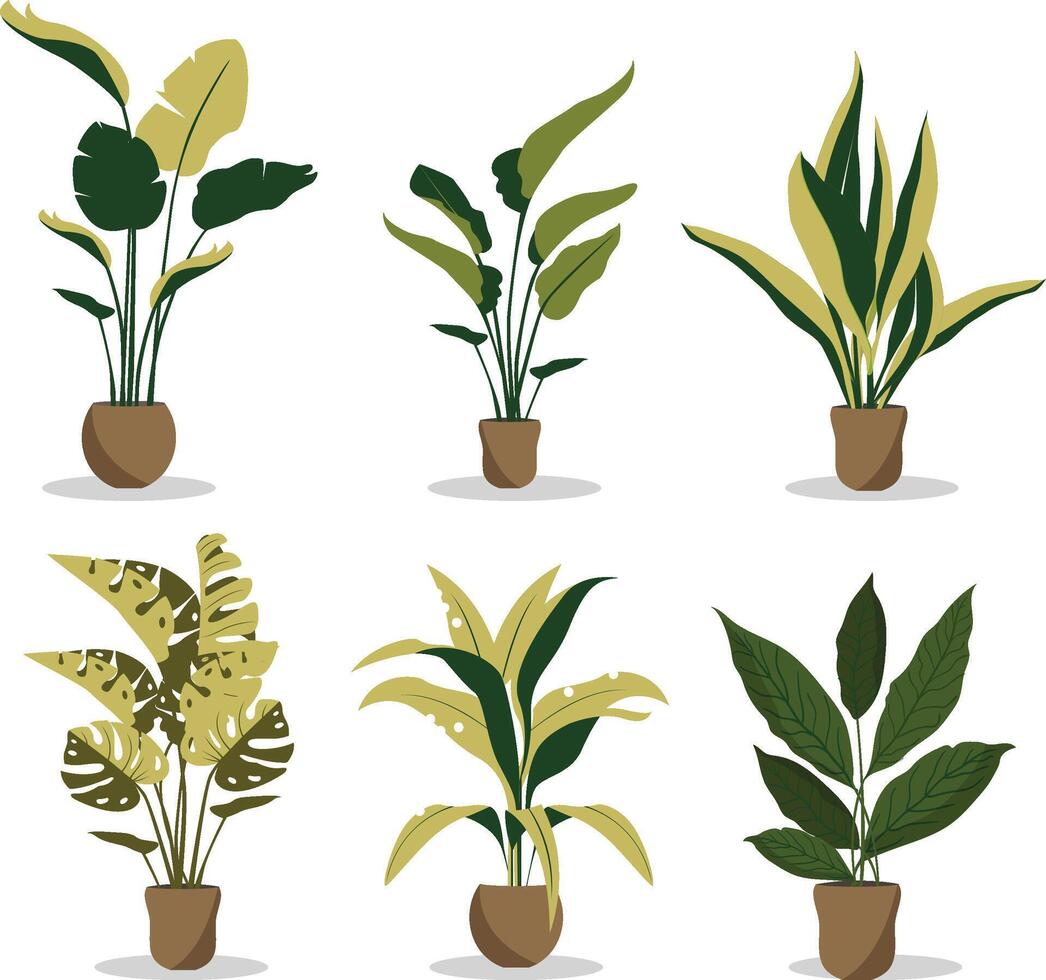 plantas tropical hojas en elegante jardineras y ollas. vector ilustración