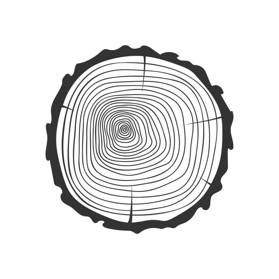 Annual growth rings in tree trunk cross section. Wooden stamp hand drawn texture isolated on white background. Dendrochronology dating method to determine tree age vector