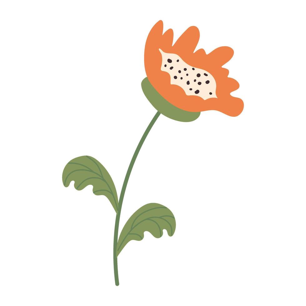 Doodle orange flower isolated on transparent background. Hand-drawn blooming plant flat simple design. Decorative Blossoming spring wildflower. Botanical summer hand drawn cards or posters element. vector