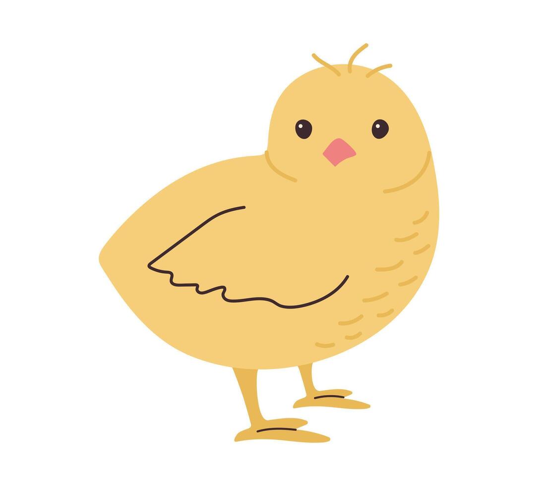 linda mano dibujado polluelo aislado en blanco antecedentes. sencillo ilustración de pequeño bebé pollo. amarillo granja pájaro con golpes en garabatear estilo. para niños minimalista creatividad. vector