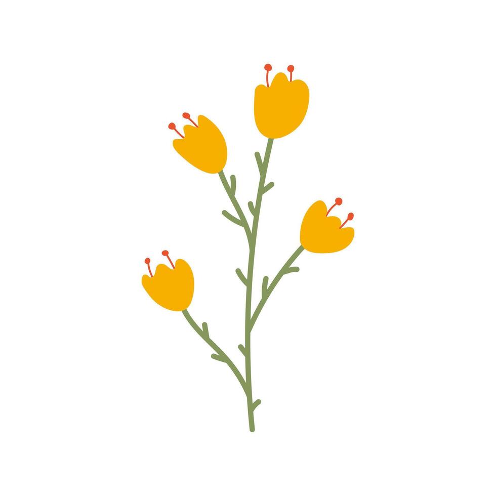 Abstract Hand drawn yellow flower. Doodle blooming tulip plant flat simple composition. Decorative Blossoming wildflower isolated on white background. Botanical element for decoration of cards. vector