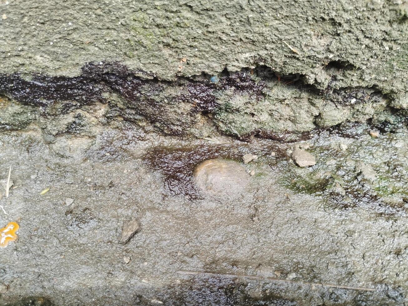 Background photo of a stone wall and moss on it