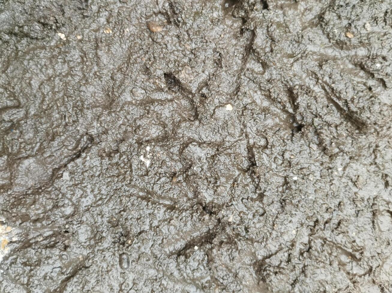 Cracked soil, Drought soil, Wet soil and mud texture, Wet land. photo