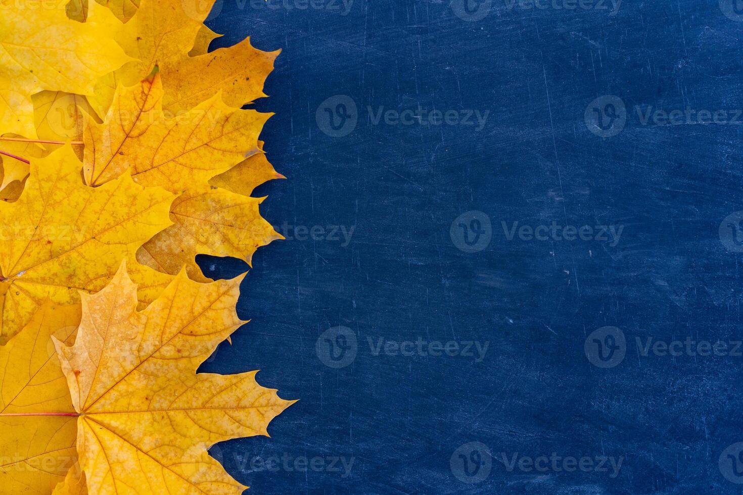 Autumn leaves frame on blue background top view Fall Border yellow and Orange Leaves vintage structure table Copy space for text. photo