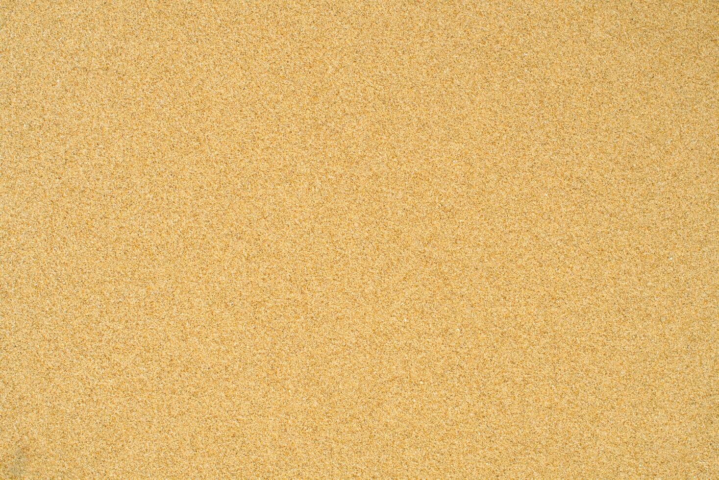 Sea beach sand surface texture photo