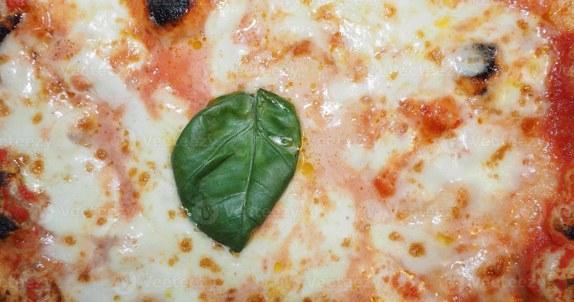 pizza margherita background photo