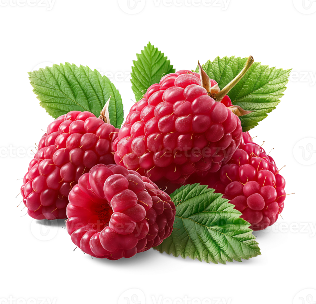 AI generated Raspberries pile with Raspberry leaves on the floor, Healthy organic berry natural ingredients concept, AI generated, PNG transparency with shadow