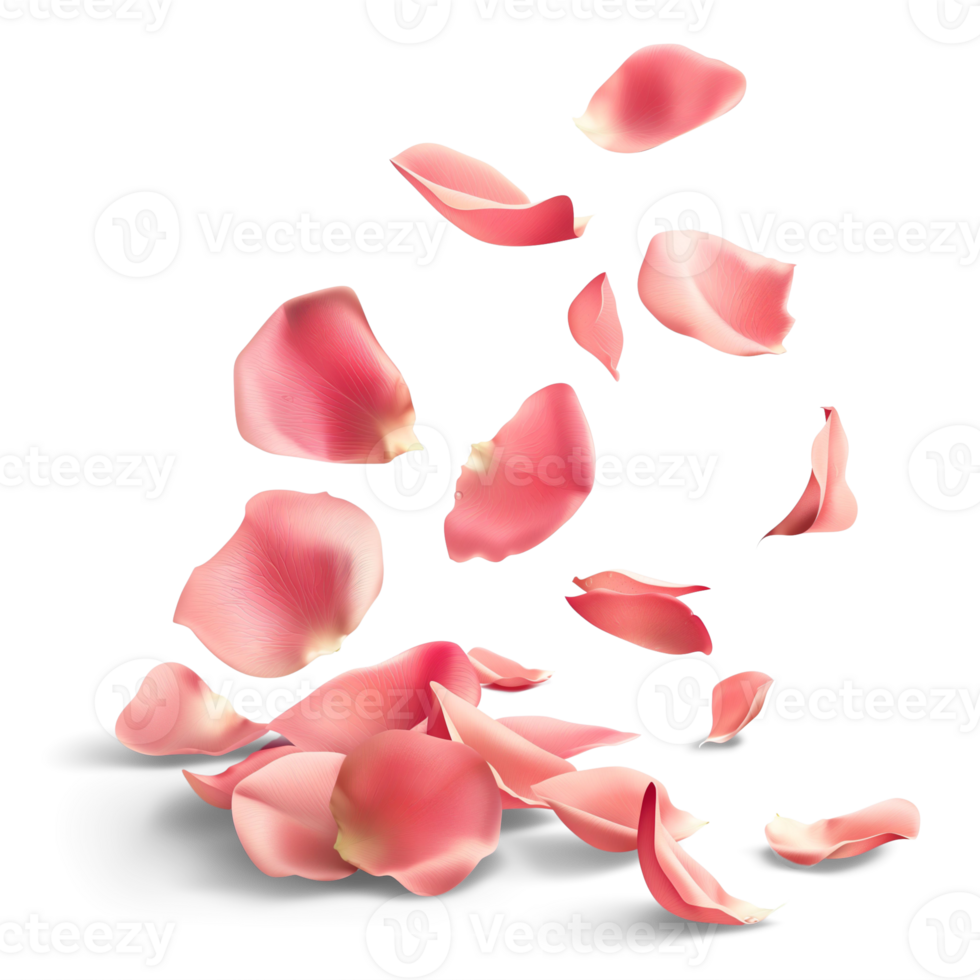AI generated Petals Rose falling in the air, Beautiful flower in nature concept, AI generated, PNG transparent with shadow