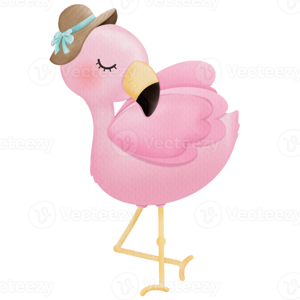 Flamingo wearing a hat png