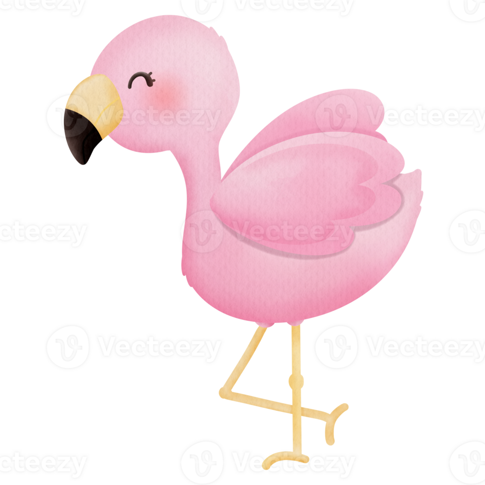 smiling flamingo on beach png