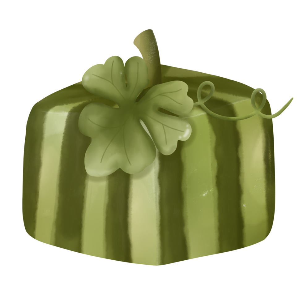 square shaped watermelon png