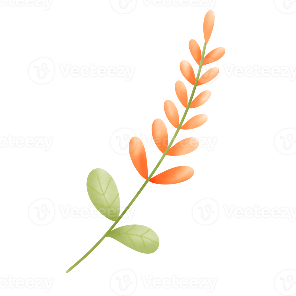 orange flower decoration png
