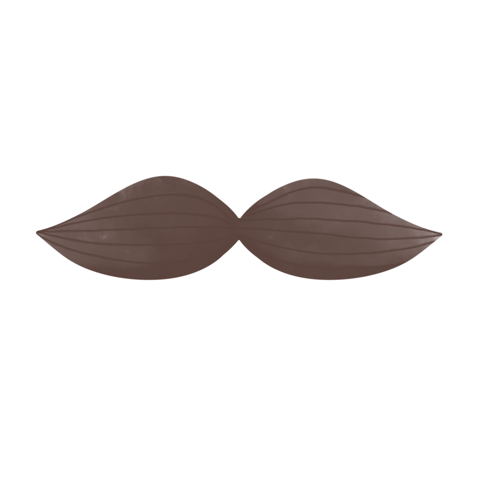 St. Patrick's Mustache png
