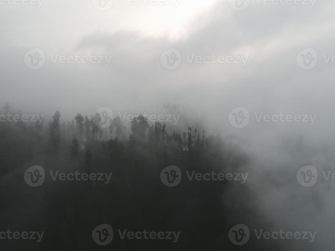 Rainy weather in mountains. Misty fog blowing over pine tree forest. Aerial footage of spruce forest trees on the mountain hills at misty day. Morning fog at beautiful autumn forest. photo