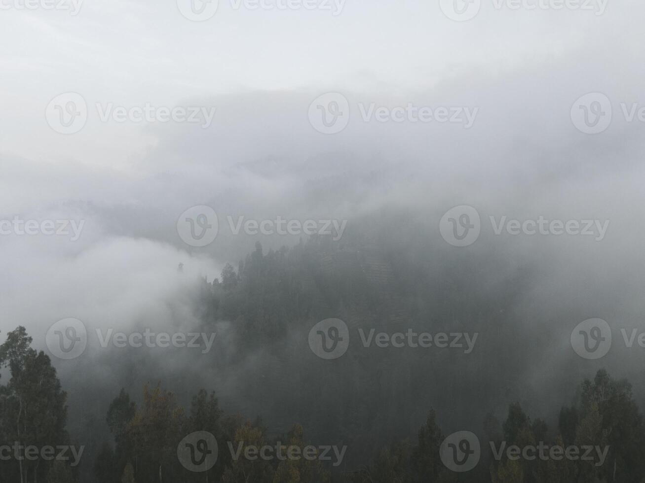 Rainy weather in mountains. Misty fog blowing over pine tree forest. Aerial footage of spruce forest trees on the mountain hills at misty day. Morning fog at beautiful autumn forest. photo