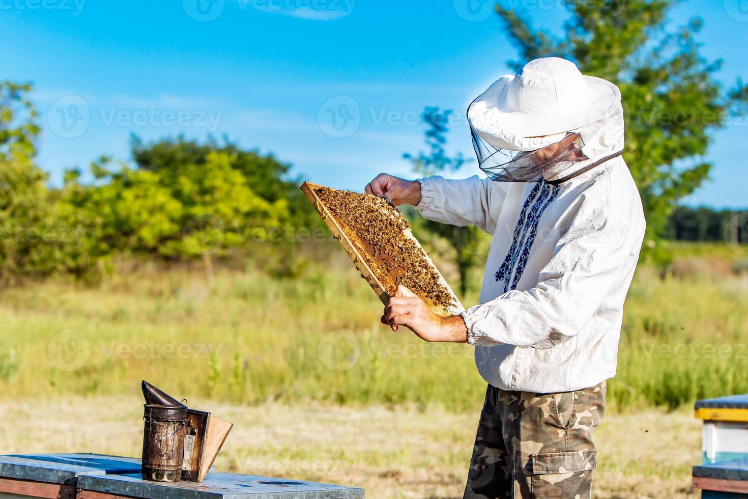 Beekeeper is working with bees and beehives on the apiary. Bees on honeycomb. Frames of a bee hive photo